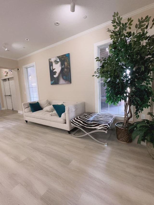 1903 N Lincoln Ave Unit 207, Urbana, IL 61801 - living area featuring ornamental molding, baseboards, and wood finished floors