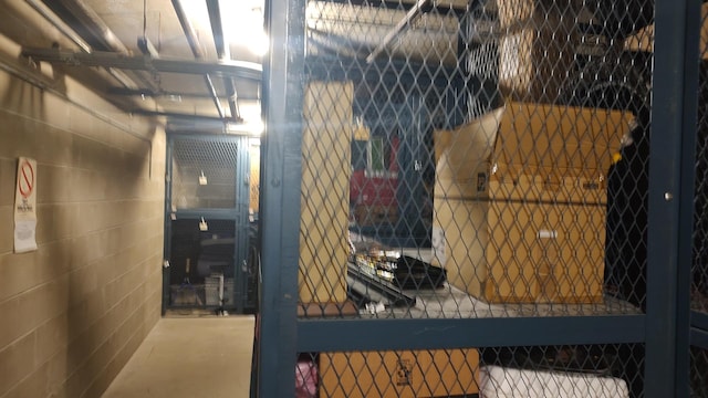 835 Pearson St Unit 305, Des Plaines, IL 60016 - view of storage area
