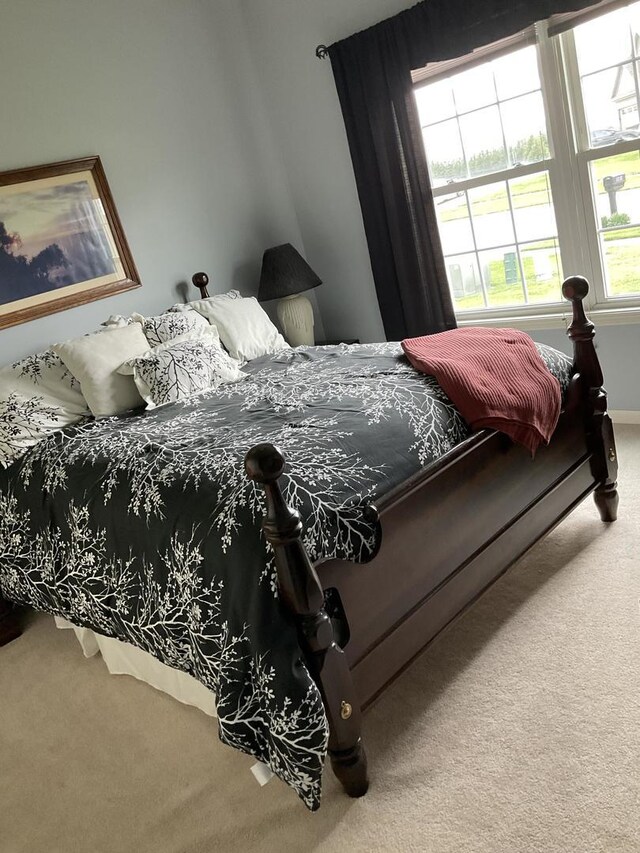 1808 S Orchard Dr, Mahomet, IL 61853 - photo 19
