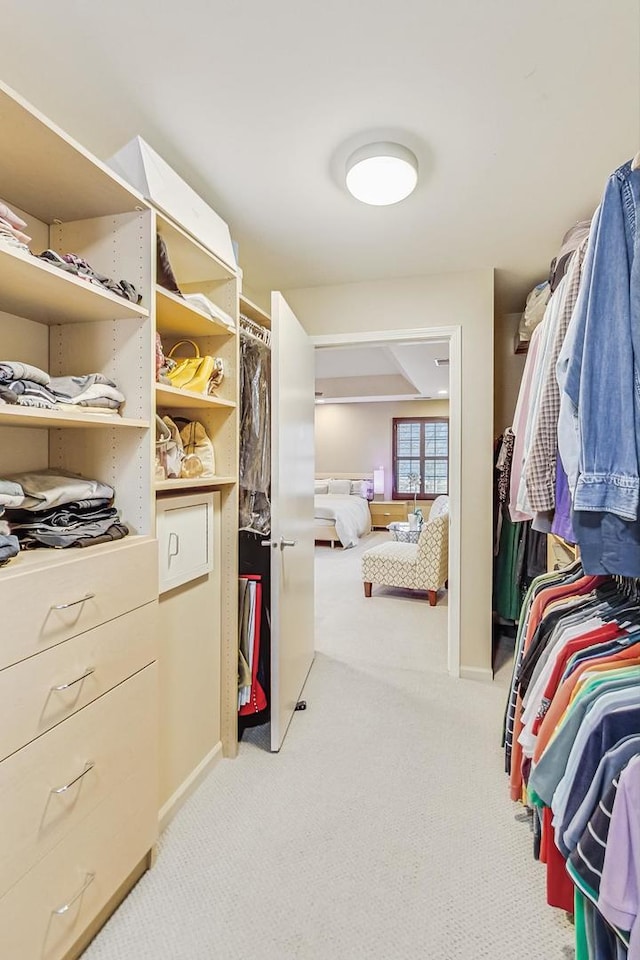 2020 Techny Rd, Northbrook, IL 60062 - walk in closet with carpet flooring