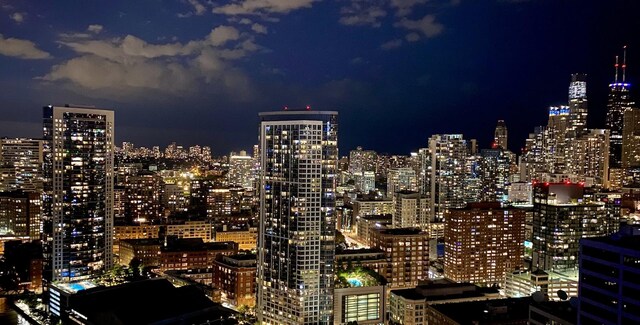 333 N Canal St Unit 3401, Chicago, IL 60606 - city view with a view of city lights