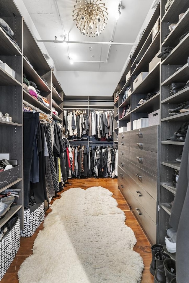 333 N Canal St Unit 3401, Chicago, IL 60606 - spacious closet featuring wood finished floors