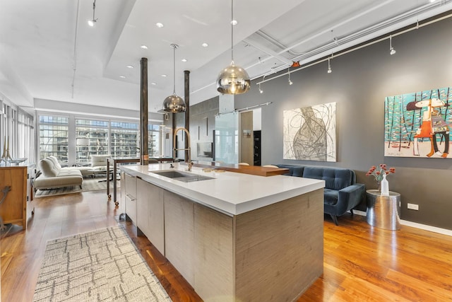 333 N Canal St Unit 3401, Chicago, IL 60606 - kitchen with open floor plan, a sink, modern cabinets, wood finished floors, and a large island