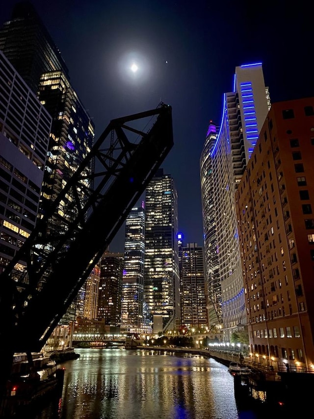 333 N Canal St Unit 3401, Chicago, IL 60606 - view of city with a nearby body of water, a view of city lights, and a notable bridge