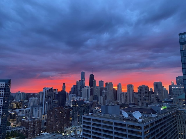 333 N Canal St Unit 3401, Chicago, IL 60606 - skyline view