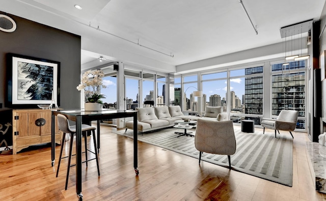 333 N Canal St Unit 3401, Chicago, IL 60606 - living room featuring a view of skyline and light wood finished floors