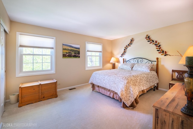 carpeted bedroom with baseboards and a closet