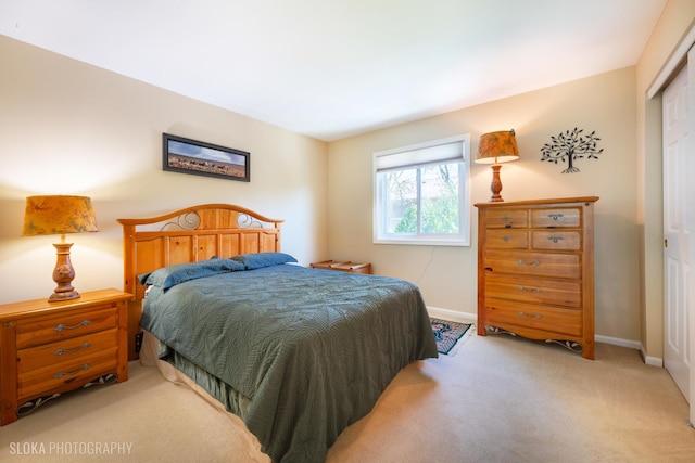 bedroom with carpet flooring, baseboards, and a closet
