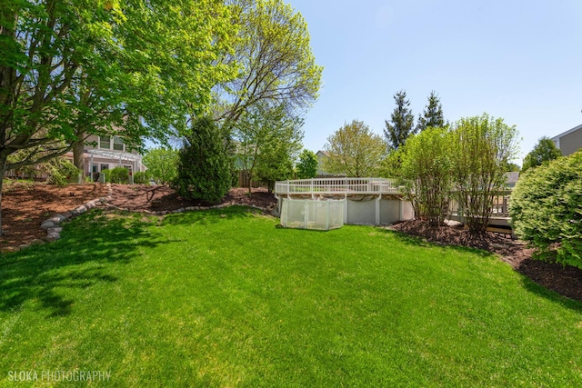 view of green lawn with a covered pool