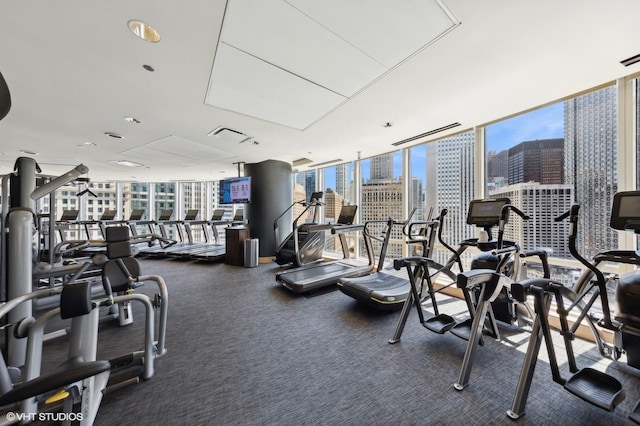 401 N Wabash Ave Unit 2534, Chicago, IL 60611 - workout area featuring a wall of windows, plenty of natural light, and carpet floors