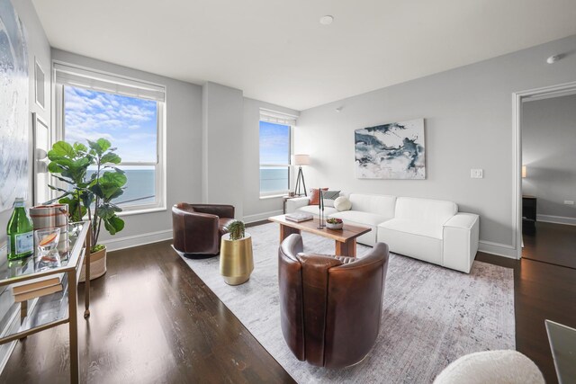 850 N Lake Shore Dr Unit 1005, Chicago, IL 60611 - photo 5