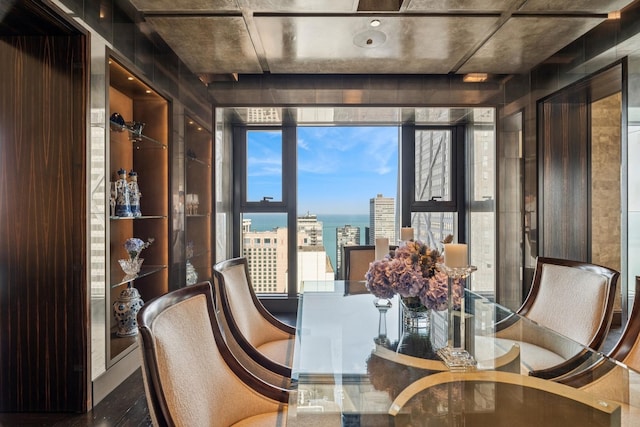 77 E Walton St Unit 25C, Chicago, IL 60611 - view of sunroom