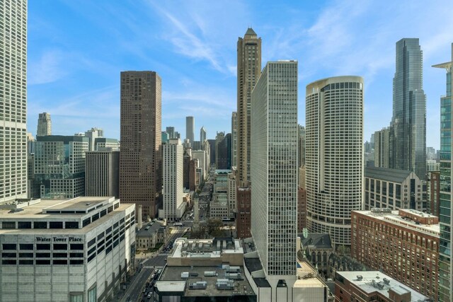 77 E Walton St Unit 25C, Chicago, IL 60611 - city view