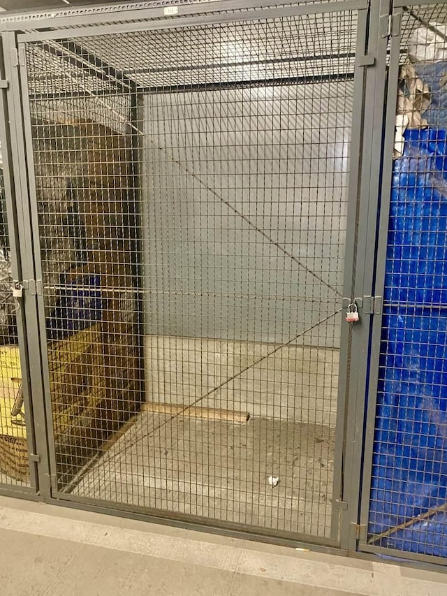 656 Pearson St Unit 608C, Des Plaines, IL 60016 - view of storage