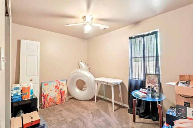 617 Hirsch Ave, Calumet City, IL 60409 - photo 13