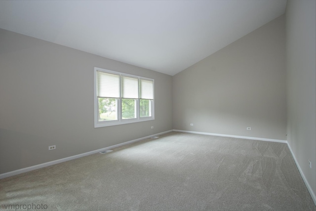 300 Hunters Cir, Fox River Grove, IL 60021 - spare room with carpet, baseboards, and lofted ceiling