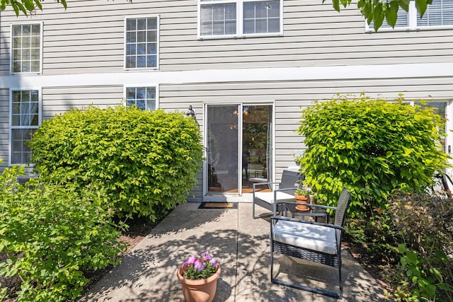 1992 Town Dr, Naperville, IL 60565 - view of patio