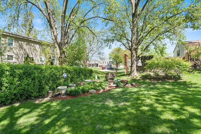 1712 Sutton Ln, Schaumburg, IL 60194 - view of grassy yard