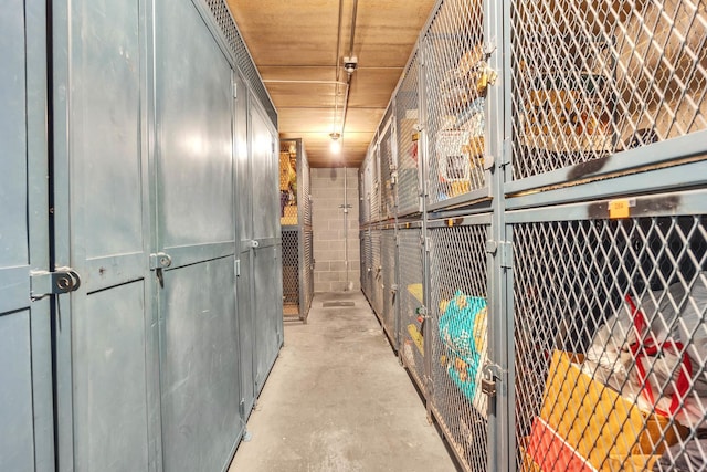225 S Rohlwing Rd Unit 301, Palatine, IL 60074 - view of storage