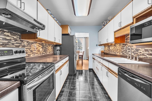 225 S Rohlwing Rd Unit 301, Palatine, IL 60074 - kitchen with appliances with stainless steel finishes, extractor fan, a sink, white cabinetry, and decorative backsplash