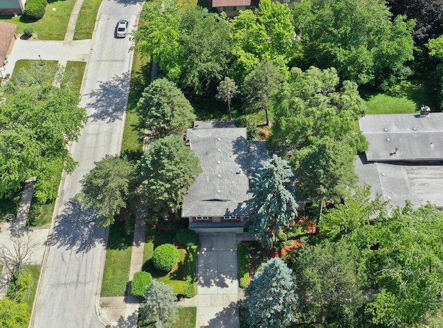 1022 W Ohio St, Glenwood, IL 60425 - bird's eye view