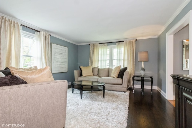 living area with baseboards, dark wood-type flooring, and crown molding