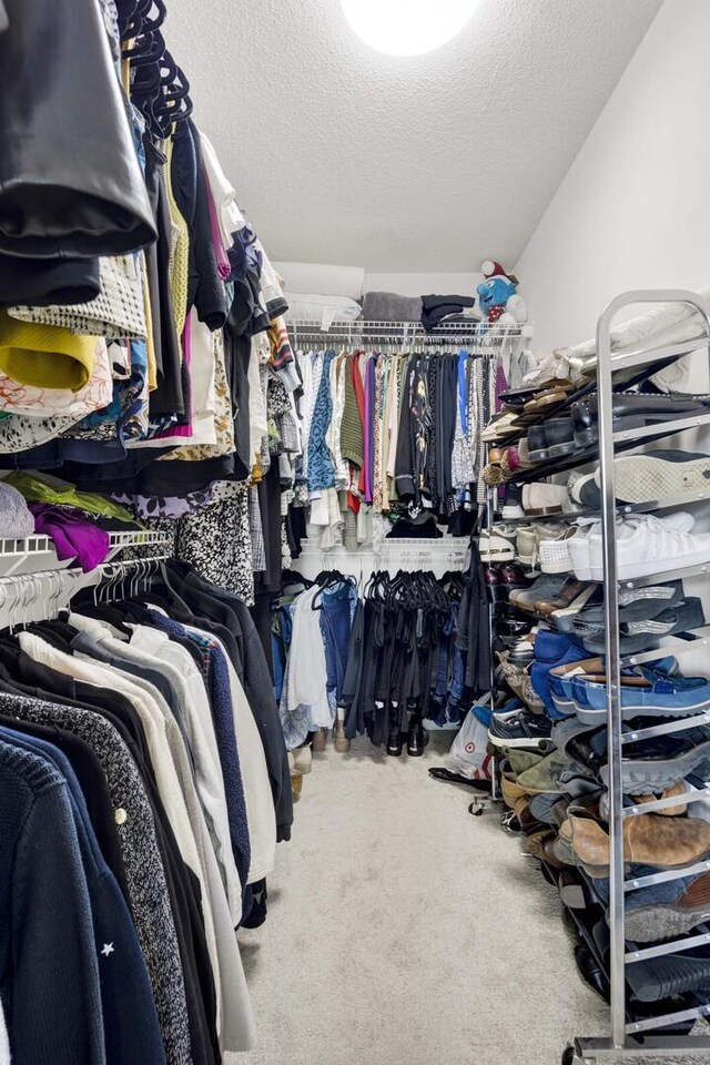 9725 Woods Dr Unit 507, Skokie, IL 60077 - spacious closet featuring carpet