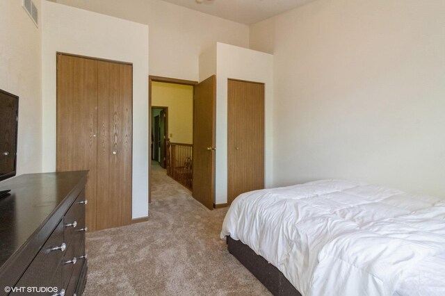 213 Pamela Dr, Bolingbrook, IL 60440 - bedroom with carpet and a closet