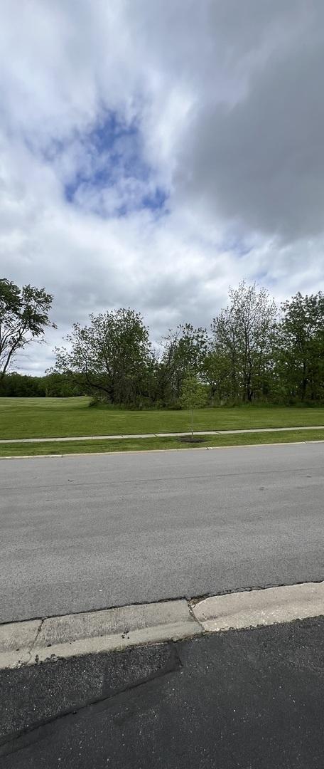 213 Pamela Dr, Bolingbrook, IL 60440 - view of asphalt road with curbs