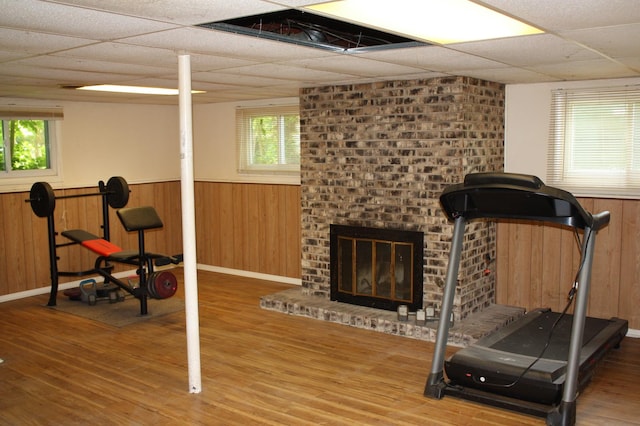 workout area with a drop ceiling, wainscoting, wood finished floors, healthy amount of natural light, and a fireplace