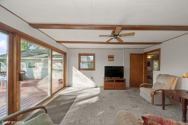 carpeted living room with a ceiling fan and beam ceiling