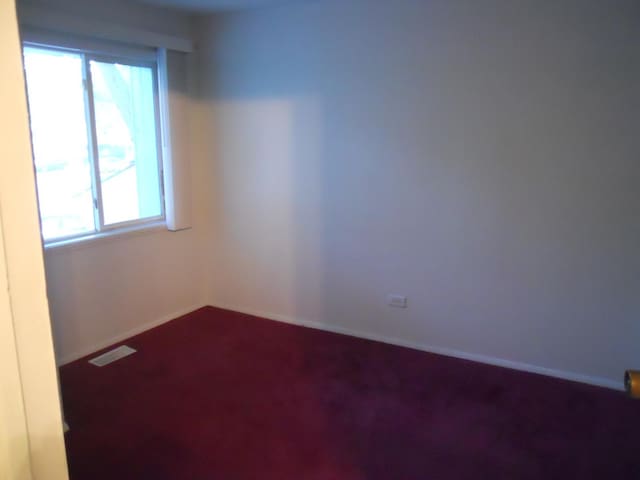 spare room with carpet and baseboards