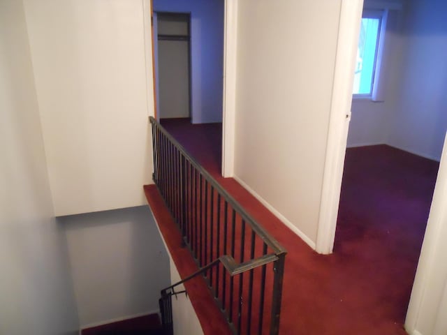 stairway with carpet flooring