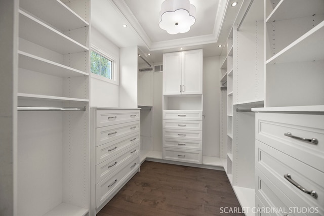 walk in closet featuring a raised ceiling and dark wood-style flooring