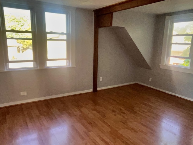 additional living space with wood finished floors and healthy amount of natural light