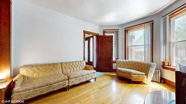 3072 N Haussen Ct, Chicago, IL 60618 - living area with radiator heating unit, wood-type flooring, healthy amount of natural light, and baseboards