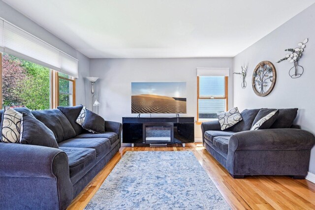 living room with light wood-type flooring