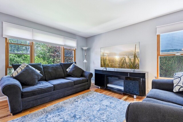 living room with wood finished floors and a fireplace