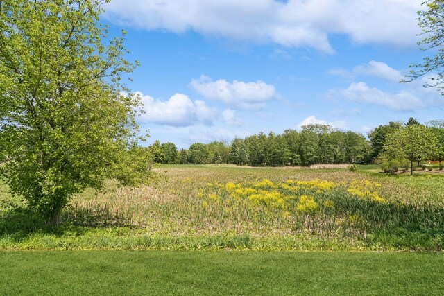 1593 Surridge Ct, Mundelein, IL 60060 - view of local wilderness