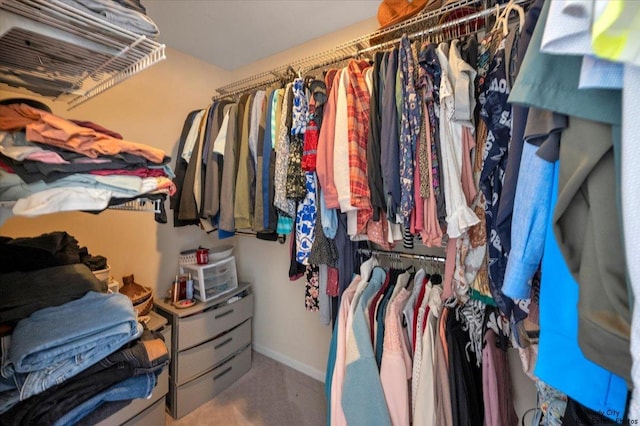walk in closet with carpet flooring
