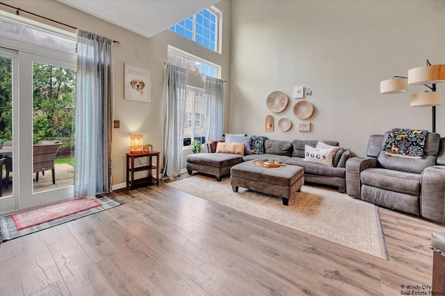 living room featuring wood finished floors