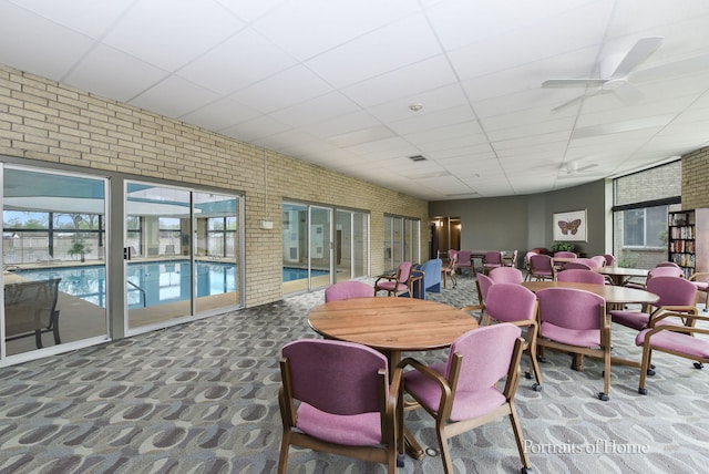 carpeted dining area featuring brick wall, a drop ceiling, and ceiling fan