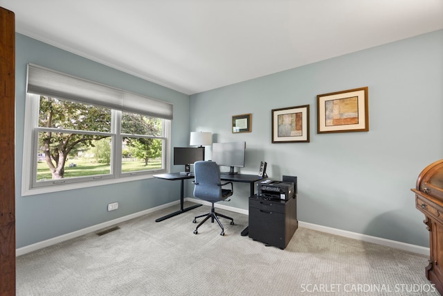 833 Shiloh Cir, Naperville, IL 60540 - office area with carpet floors and baseboards