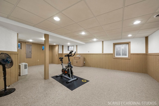 833 Shiloh Cir, Naperville, IL 60540 - exercise room with electric panel, wainscoting, carpet, wooden walls, and a paneled ceiling