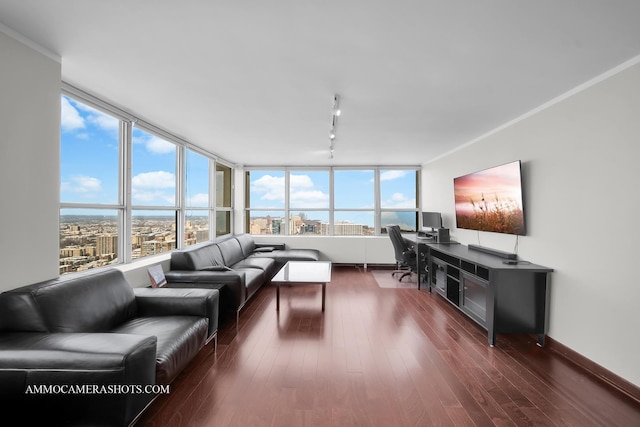655 W Irving Park Rd Unit 3916, Chicago, IL 60613 - living area with rail lighting, a desk, dark wood-type flooring, and baseboards