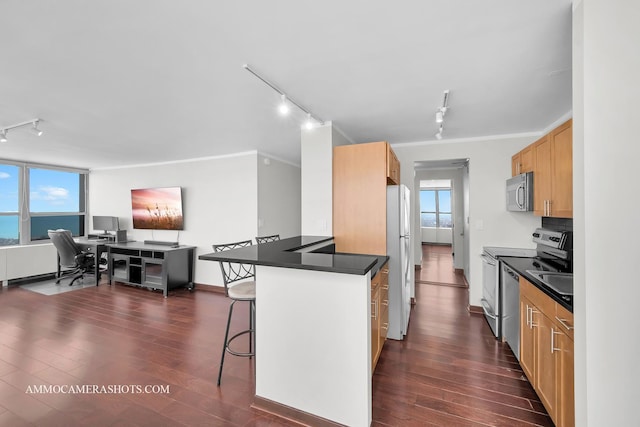 655 W Irving Park Rd Unit 3916, Chicago, IL 60613 - kitchen with rail lighting, stainless steel appliances, and dark wood finished floors