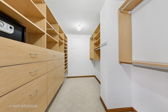 3913 N Kedvale Ave Unit A, Chicago, IL 60641 - view of walk in closet