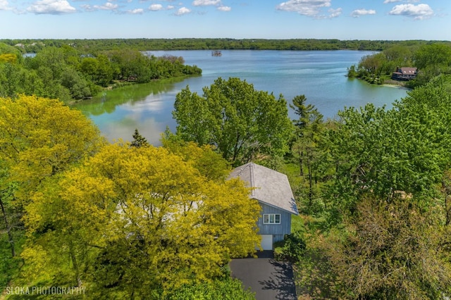907 Division St, Barrington, IL 60010 - aerial view of property and surrounding area featuring a large body of water and a forest
