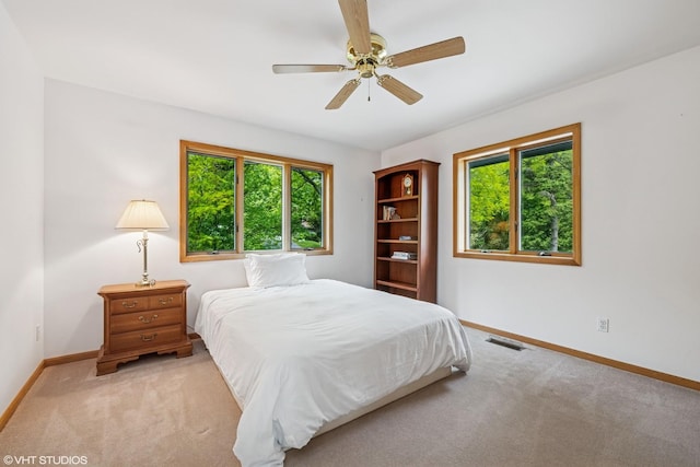907 Division St, Barrington, IL 60010 - bedroom featuring light carpet and ceiling fan