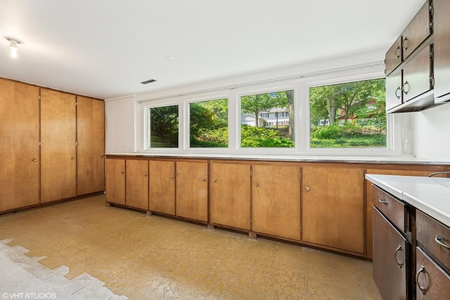 907 Division St, Barrington, IL 60010 - kitchen with healthy amount of natural light and light countertops